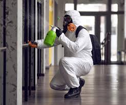 Mold Remediation